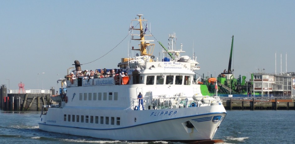 Die Nordsee bietet mit ihrer Natur unzählige Freizeitmöglichkeiten für die ganze Familie.