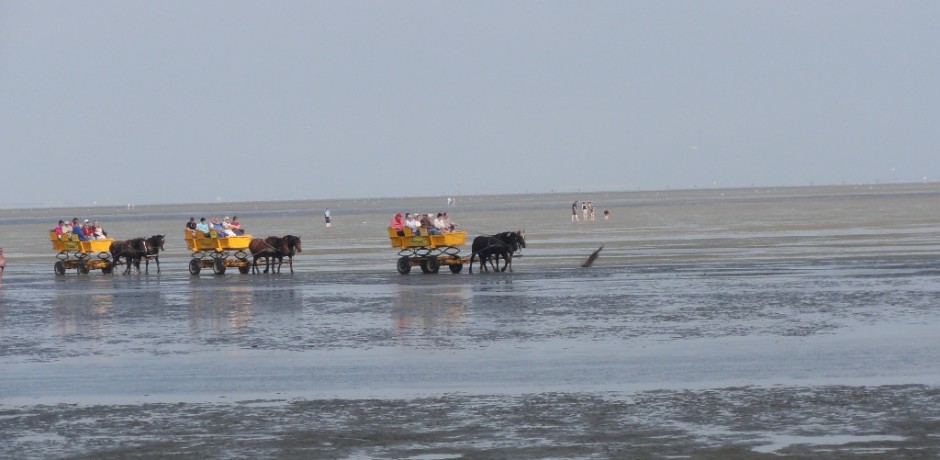 Ob Aktivurlaub oder erholsamer Urlaub - die Nordsee bietet einen Vielfalt an Möglichkeiten