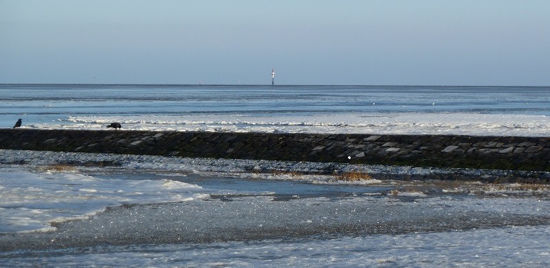 Die tolle Lage des Appartements 4.09 Hohe Lith lädt zu spontanen Spaziergängen an der Nordsee ein